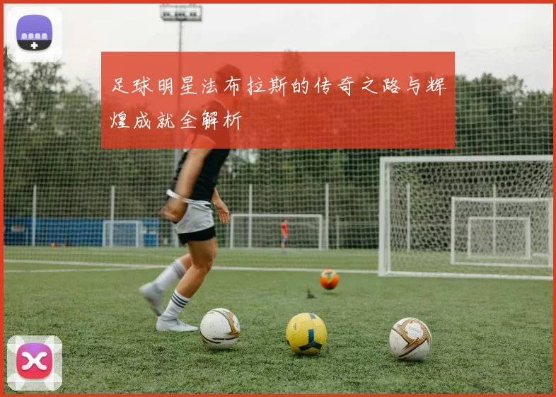 足球明星法布拉斯的传奇之路与辉煌成就全解析