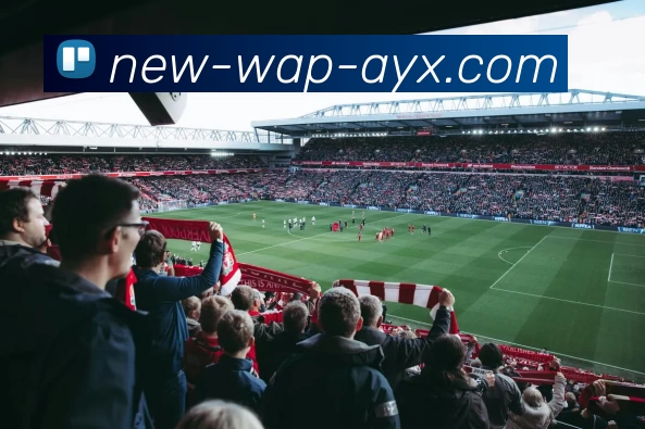 App Interface Preview