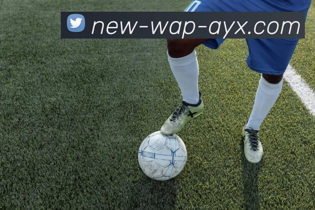 爱游戏APP 封面图